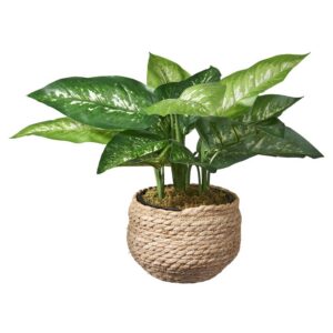 Kunstplant Dieffenbachia H45cm in mand naturel - HTT Decorations
