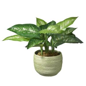 Kunstplant Dieffenbachia H45cm in mand groen - HTT Decorations
