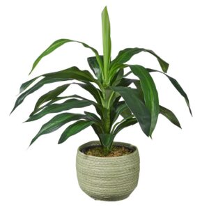 Kunstplant Dracaena fragans H60cm in mand groen – HTT Decorations
