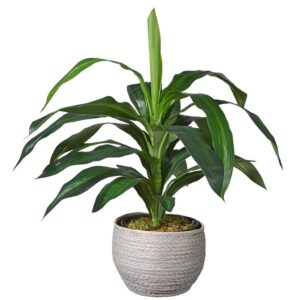 Kunstplant Dracaena fragans H60cm in mand grijs – HTT Decorations