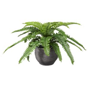 Kunstplant Nephrolepis H35cm in mand zwart – HTT Decorations