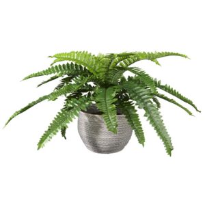 Kunstplant Nephrolepis H35cm in mand grijs – HTT Decorations