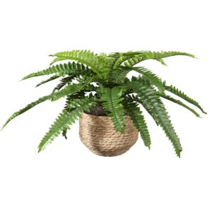 Kunstplant Nephrolepis H35cm in mand naturel – HTT Decorations