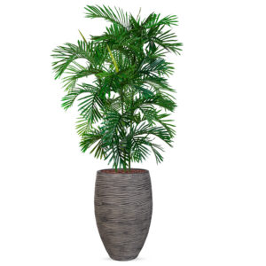 Kunstplant Arecapalm in Vaas elegant Deluxe rib antraciet H215 cm