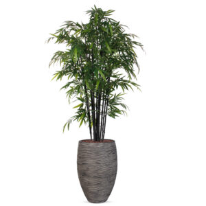 Kunstplant Bamboe zwart in vaas elegant Rib antraciet H260 cm