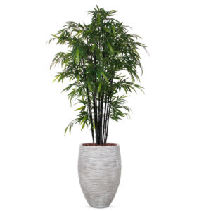 Kunstplant Bamboe zwart in vaas elegant Rib ivoor H260 cm