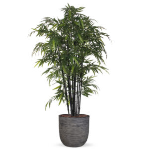 Kunstplant Bamboe zwart in planter ball Rib antraciet H230 cm
