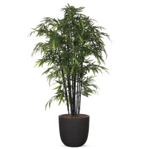 Kunstplant Bamboe zwart in planter ball Rib zwart H230 cm
