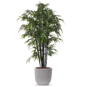 Kunstplant Bamboe zwart in planter ball Groove ivoor H230 cm