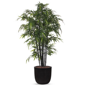 Kunstplant Bamboe zwart in planter ball Groove zwart H230 cm