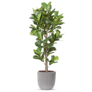 Kunstplant Ficus Lyrata in planter ball Groove ivoor H210 cm