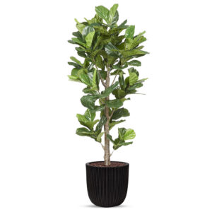 Kunstplant Ficus Lyrata in planter ball Groove zwart H210 cm