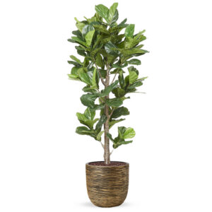 Kunstplant Ficus Lyrata in planter ball Rib zwartgoud H210 cm