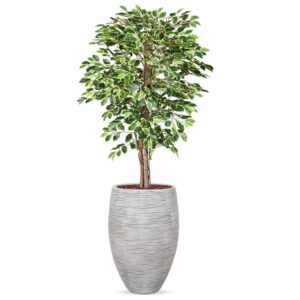 Kunstplant Ficus bont in Vaas elegant Deluxe Rib ivoor H200 cm