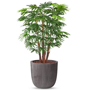 Kunstplant Fortunei palm in Planter Ball groove antraciet H125 cm