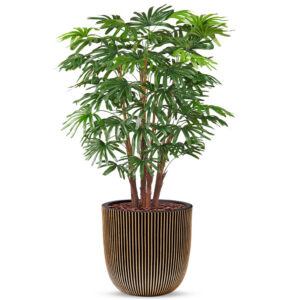 Kunstplant Fortunei palm in Planter Ball groove zwartgoud H125 cm