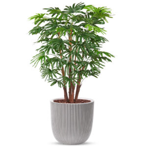 Kunstplant Fortunei palm in Planter Ball ivoor antraciet H125 cm