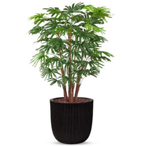 Kunstplant Fortunei palm in Planter Ball groove zwart H125 cm