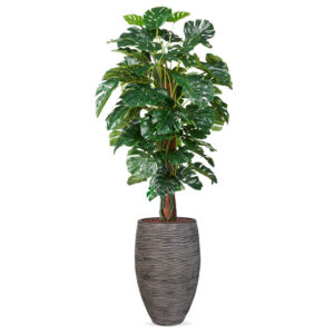 Kunstplant Monstera in vaas elegant Rib antraciet H200 cm