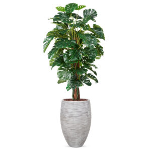 Kunstplant Monstera in vaas elegant Rib ivoor H200 cm