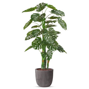 Kunstplant Monstera in planter ball Groove antraciet H200 cm