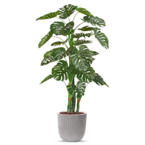 Kunstplant Monstera in planter ball Groove ivoor H200 cm
