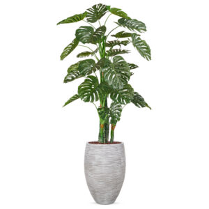 Kunstplant Monstera in vaas elegant Rib ivoor H230 cm