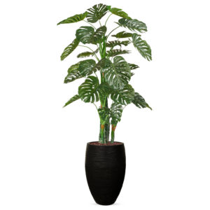 Kunstplant Monstera in vaas elegant Rib zwart H230 cm