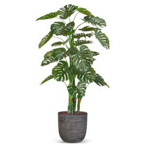 Kunstplant Monstera in planter ball Rib antraciet H200 cm