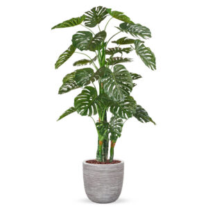Kunstplant Monstera in planter ball Rib ivoor H200 cm
