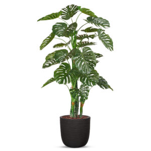 Kunstplant Monstera in planter ball Rib zwart H200 cm